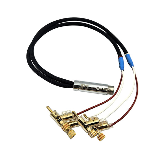 Four male banana speaker cables ends connected in a continuous wire to a female 4Pin XLR Cable