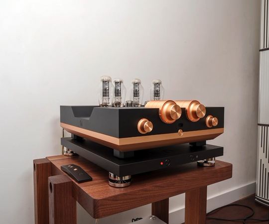 Woo Audio WA300-BAL Power Amplifier ABYSS Headphone Edition