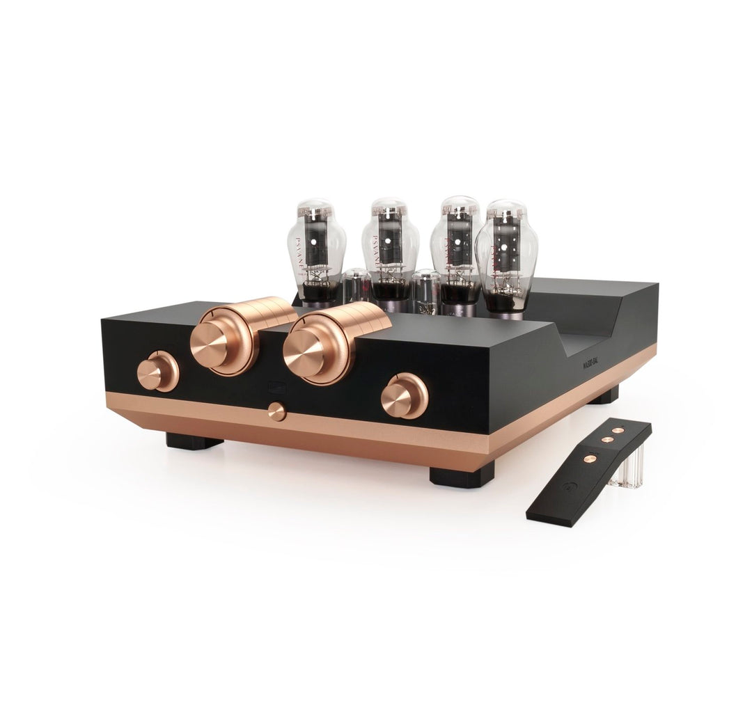 Woo Audio WA300-BAL Power Amplifier ABYSS Headphone Edition