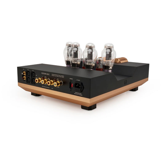 Woo Audio WA300-BAL Power Amplifier ABYSS Headphone Edition